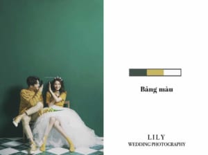 bảng màu ảnh cưới hàn quốc