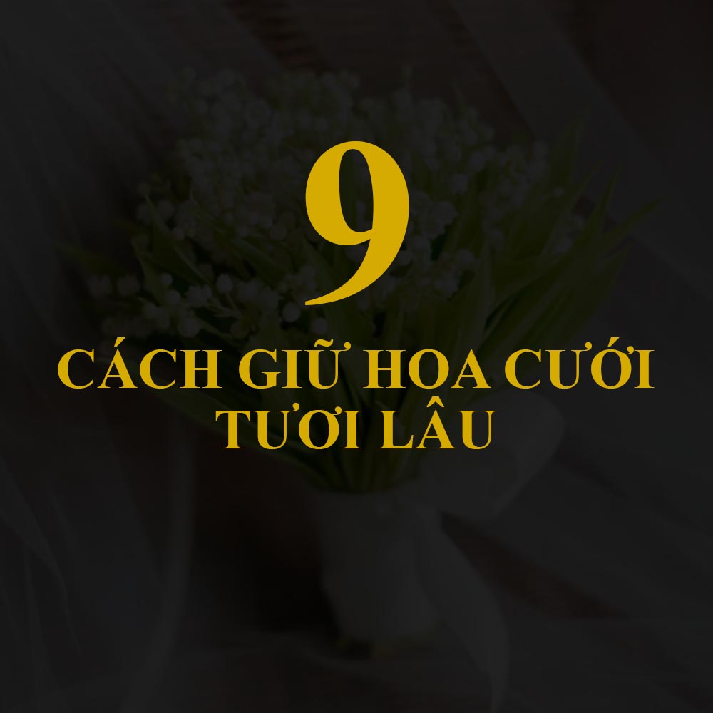 9 Cách giữ hoa cưới cầm tây cô dâu bảo quản tươi lâu